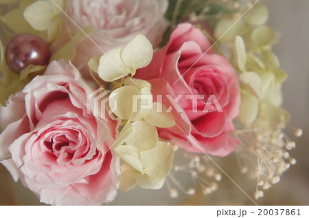 ブリザードフラワー 20037861