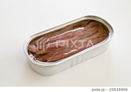 アンチョビ アンチョビ 20038906