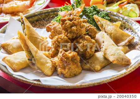 揚げ春巻きと鶏の唐揚げ二種盛り 20040350