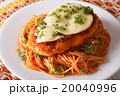 Italian food 20040996