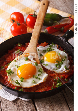 Traditional Mexican breakfast fried egg with salsa Traditional Mexican breakfast fried egg with salsa 20041553
