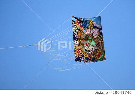 堀切大凧揚げ大会 20041746