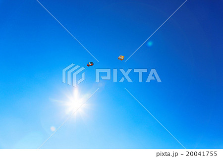 堀切大凧揚げ大会 20041755