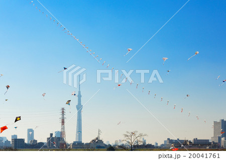 堀切大凧揚げ大会 20041761