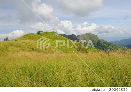 Yellow grassland on mountains in autumn Yellow grassland on mountains in autumn 20042335