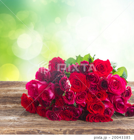 Fresh red roses  20043385