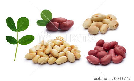 Set of peanuts 20043777