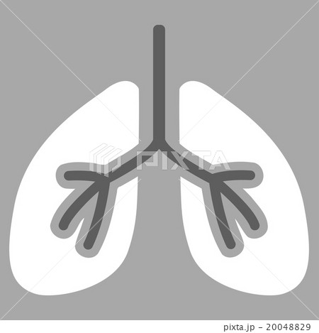 Lungs Flat Icon 20048829