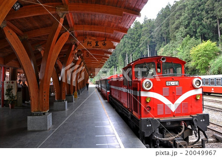 台湾 阿里山 電車 20049967