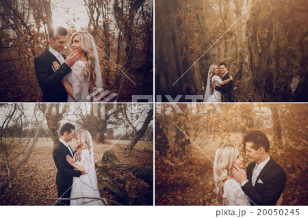 wedding day HD 20050245