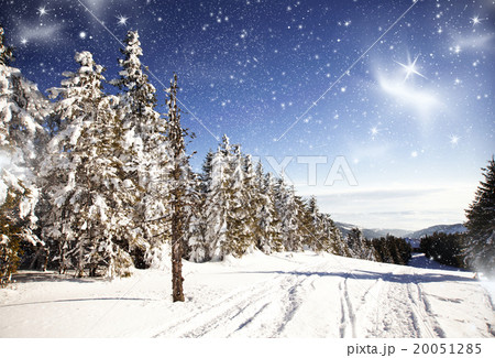 Winter landscape with snowy fir trees 20051285