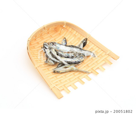 イリコ イリコ 20051802