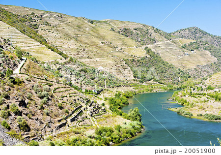 Douro Valley, Portugal Douro Valley, Portugal 20051900