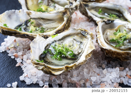 Fresh Oysters Fresh Oysters 20052155