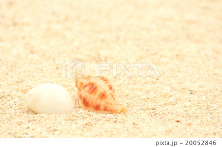浜辺の風景 浜辺の風景 20052846