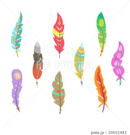 Vector Colored Feathers Set Vector Colored Feathers Set 20052983