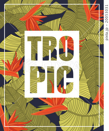 Tropical Background with Lettering 20053031