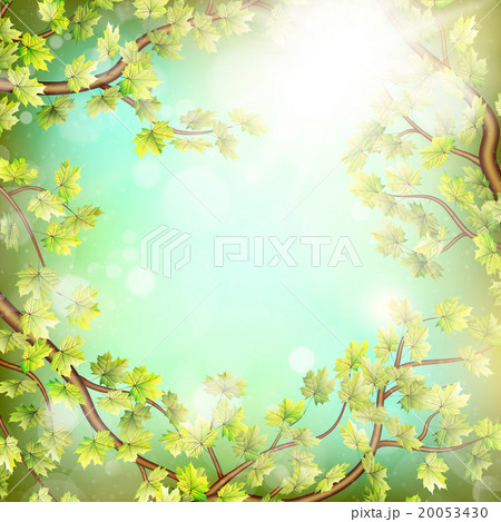Season branches with fresh green leaves. EPS 10 20053430