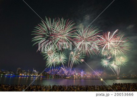 花火 線香花火 せんこうはなび 20053666
