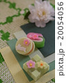 京都の和菓子と絞りの和柄 20054056