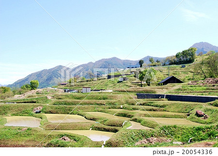 田植えの季節を迎えた姨捨の棚田 20054336