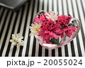 トルコの手芸「オヤ」で編んだお花 20055024