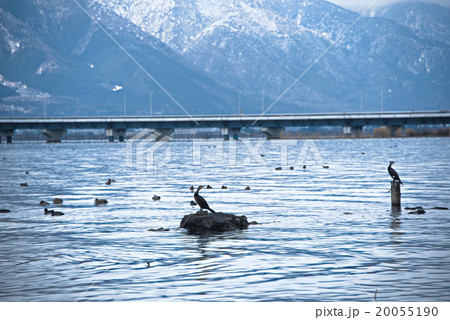 びわ湖 20055190