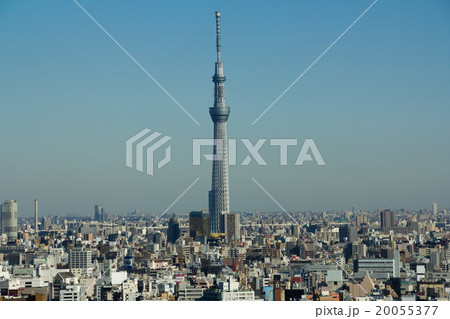東京スカイツリー 20055377