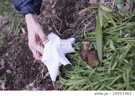 犬の糞の処理 20055463