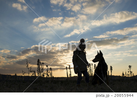 犬と子供のシルエット 20055944