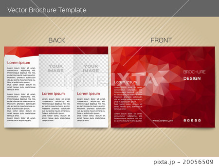 Vector template for leaflet 20056509