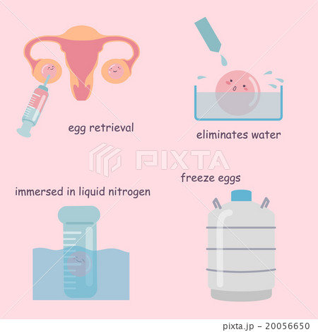 Freezing egg process 20056650