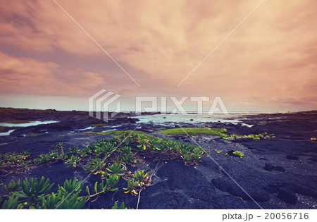 Hawaiian coast 20056716