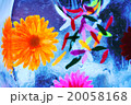 Multicolored flowers frozen into the ice box 20058168