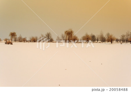 snowy lake with trees background piestany slovakia snowy lake with trees background piestany slovakia 20058488