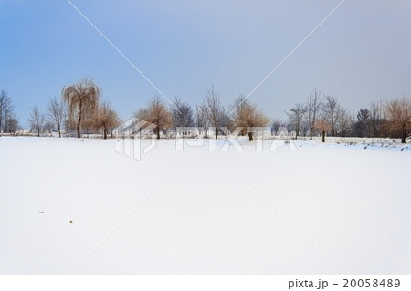 snowy lake with trees background piestany slovakia snowy lake with trees background piestany slovakia 20058489