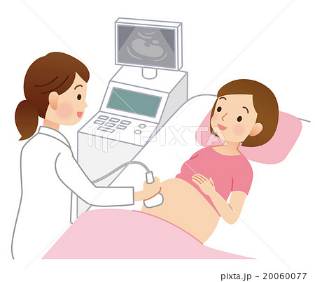 妊婦検診 超音波 医療のイラスト素材