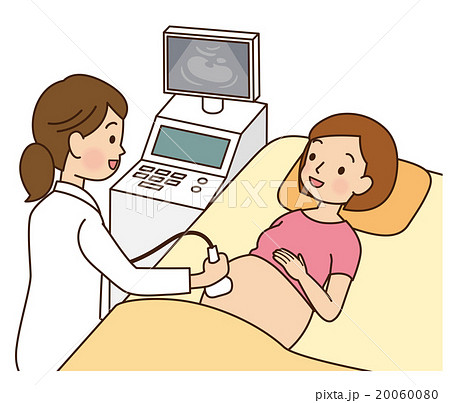 妊婦検診 超音波 医療のイラスト素材