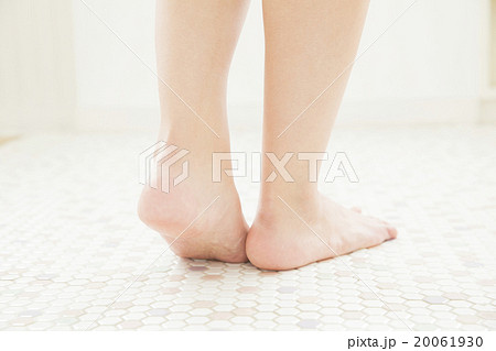 ボディパーツ　脚 20061930