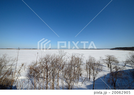 根室十景「白鳥の風連湖」 根室十景「白鳥の風連湖」 20062905