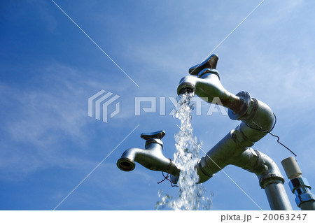 蛇口 蛇口 20063247