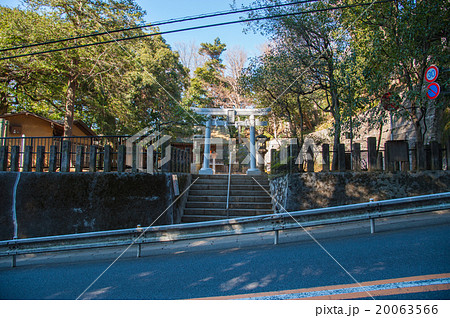 東京世田谷散歩、上野毛エリア、稲荷神社 20063566