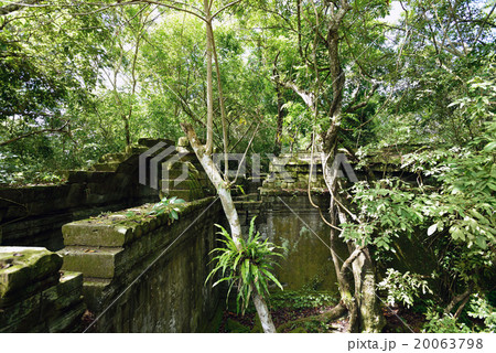 カンボジア　シェムリアップ　ベンメリア遺跡 20063798