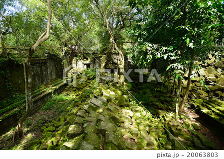 カンボジア　シェムリアップ　ベンメリア遺跡 20063803