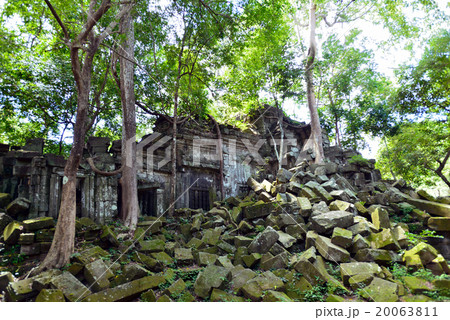 カンボジア シェムリアップ ベンメリア遺跡 カンボジア シェムリアップ ベンメリア遺跡 20063811