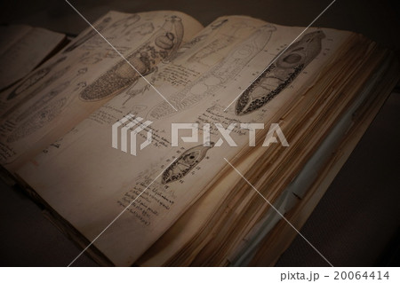 寄生虫に関する文献 20064414