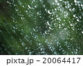 水滴 20064417