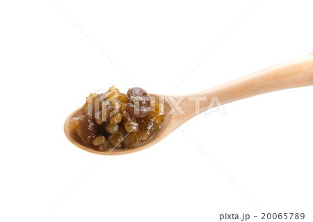 なめみそ 20065789