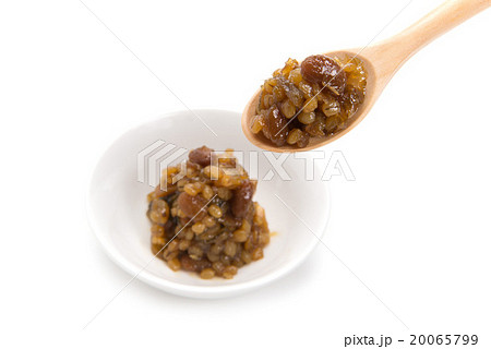 なめみそ 20065799