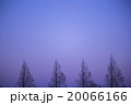 夕暮れ 20066166